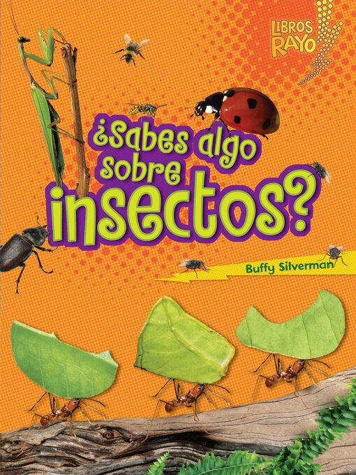 Title details for ¿Sabes algo sobre insectos? (Do You Know about Insects?) by Buffy Silverman - Wait list